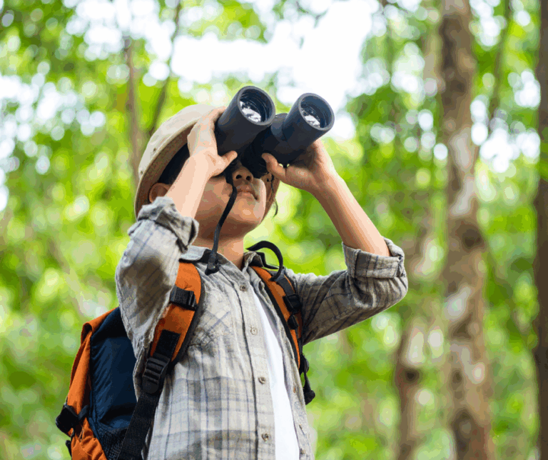 Enfant regardant à travers des jumelles dans une forêt pour illustrer un test de motivations professionnelles
